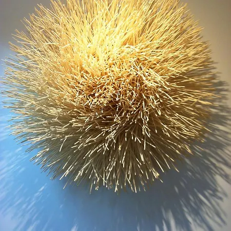 De L'oumede 4* Ramatuelle