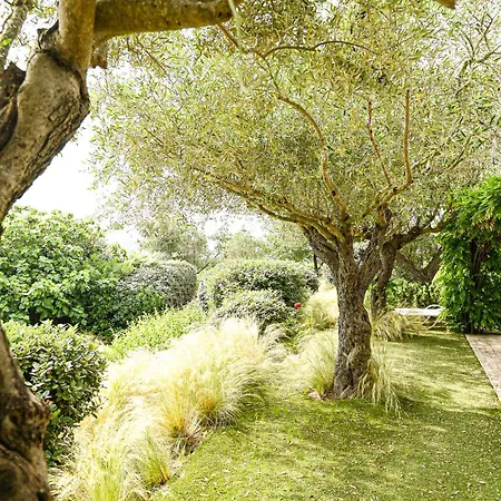 De L'oumède * Ramatuelle